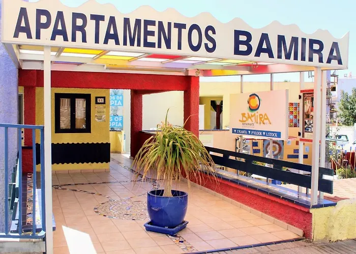 Bougainvillea Bamira * Maspalomas (Gran Canaria)